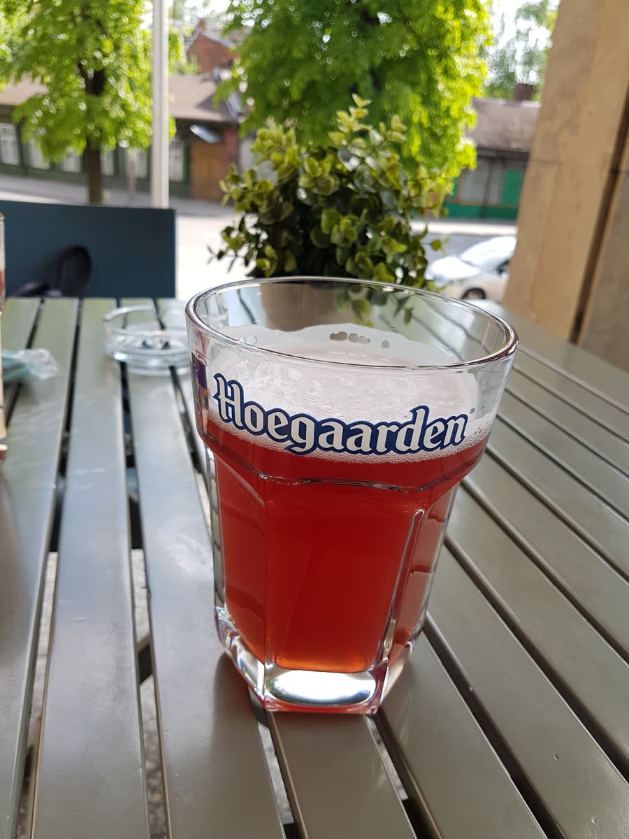 Alus terasoje